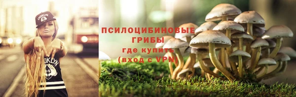 бошки Алексеевка