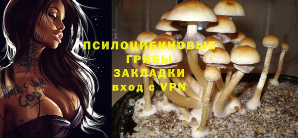 бошки Алексеевка
