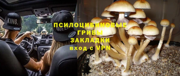 прущая мука Алзамай