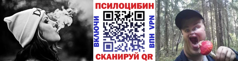 Галлюциногенные грибы GOLDEN TEACHER  купить  цена  Гаджиево 